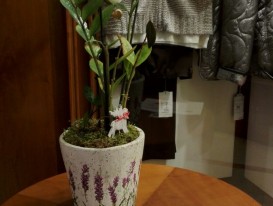 Associació de Comerciants Gran de Grà cia